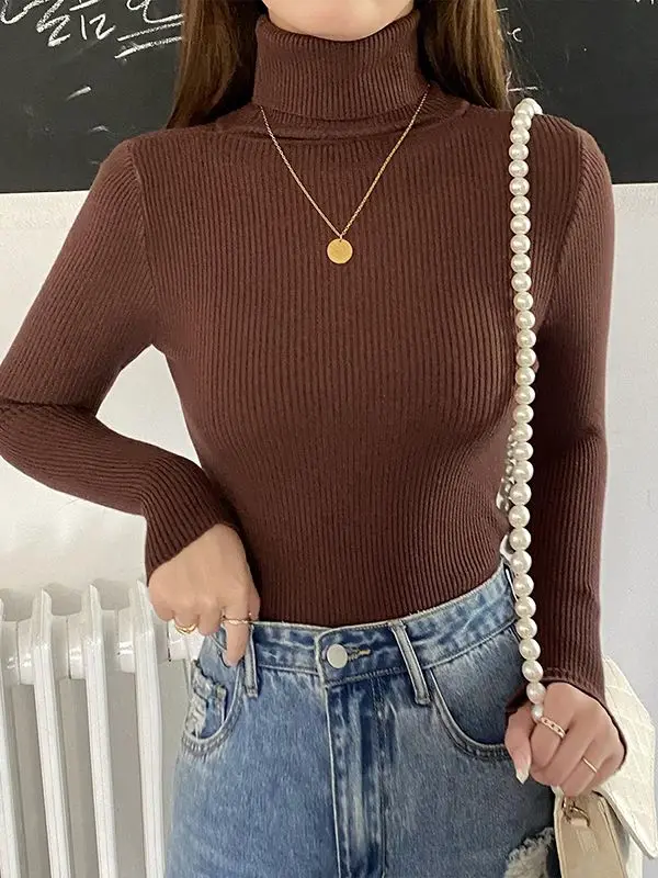 Basic turtleneck sweater