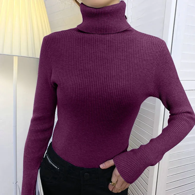 Basic turtleneck sweater