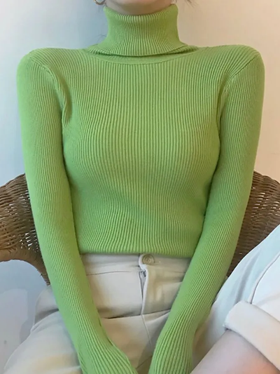 Basic turtleneck sweater
