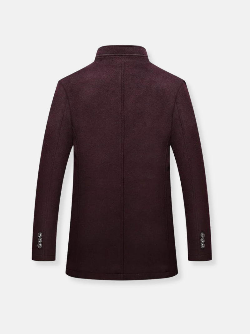 Elegant coat with high collar and button design