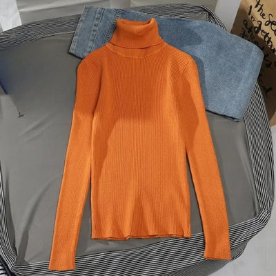 Basic turtleneck sweater