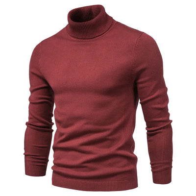 Modern and Casual Turtleneck for Men