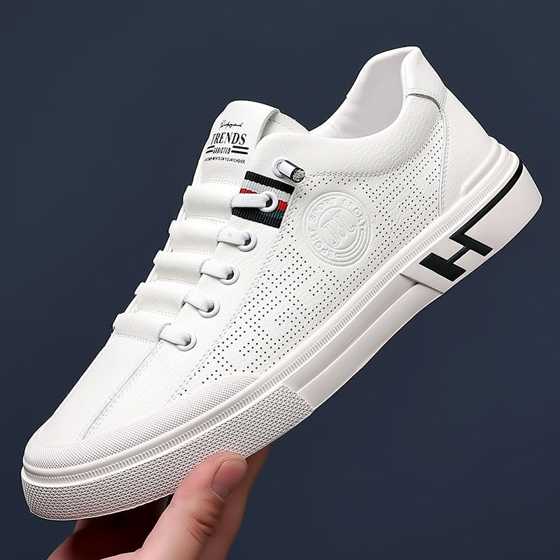 Empire Ecke Casual Shoes - Limited Edition